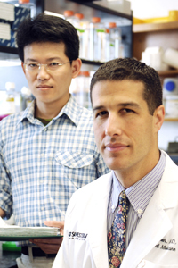 Drs. Jeffrey Zigman (right) and Jen-Chieh Chuang